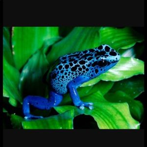 Meet your Posher, Laura